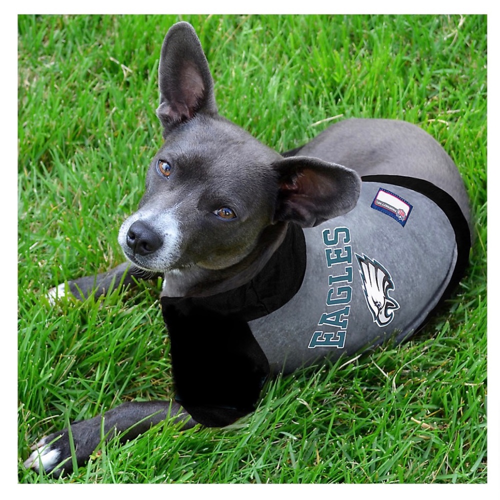 Philadelphia Eagles NFL Hoodie Dog T-Shirt